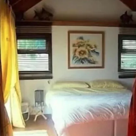 Holiday home Douglas Creek *